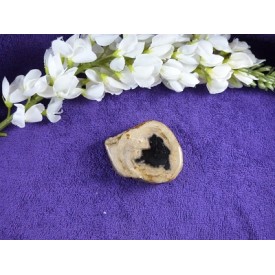 Versteend Hout Schijf 171 gram