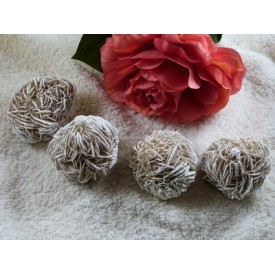 Woestijnroos 100-125 gram