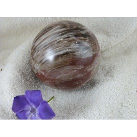 Versteend Hout bol 769 gram...