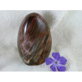 Versteend Hout Sculptuur...