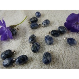 Sodaliet hangertje met...