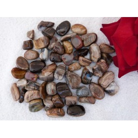 Versteend Hout Trommelsteen